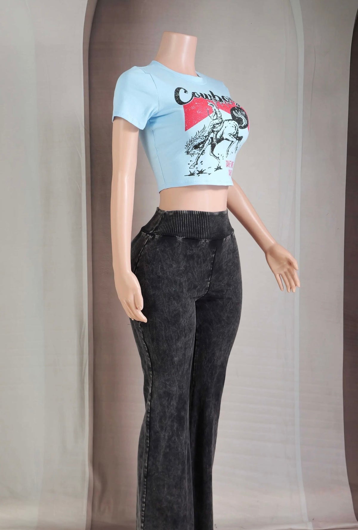 Take Me Away Baddie Cowboy Crop Tee