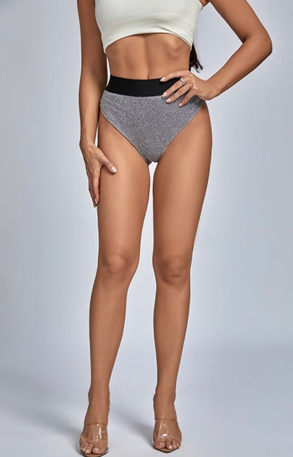 Metallic High Waist Baddie Briefs - Baddie Kouture Boutique 